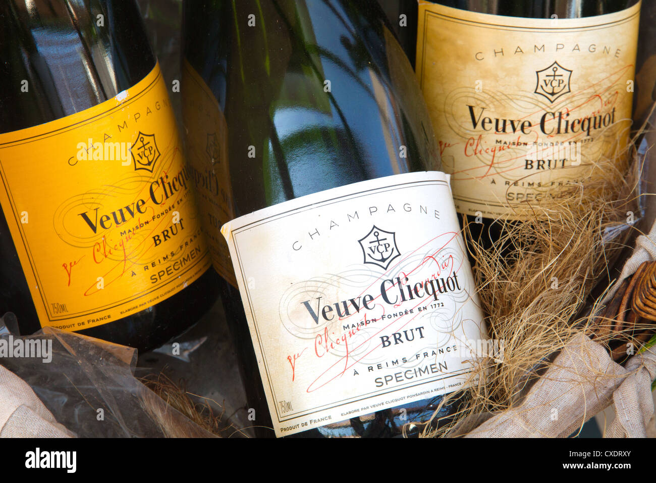 2 Personalized Veuve Clicquot Label Images, Stock Photos & Vectors
