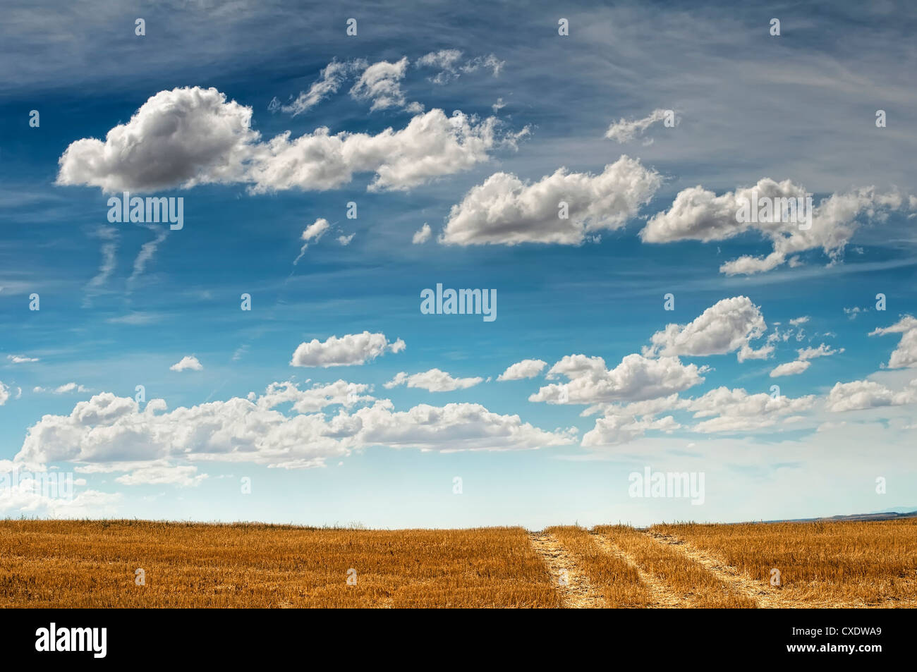 Rural road and blue cloudy sky Stock Photo - Alamy