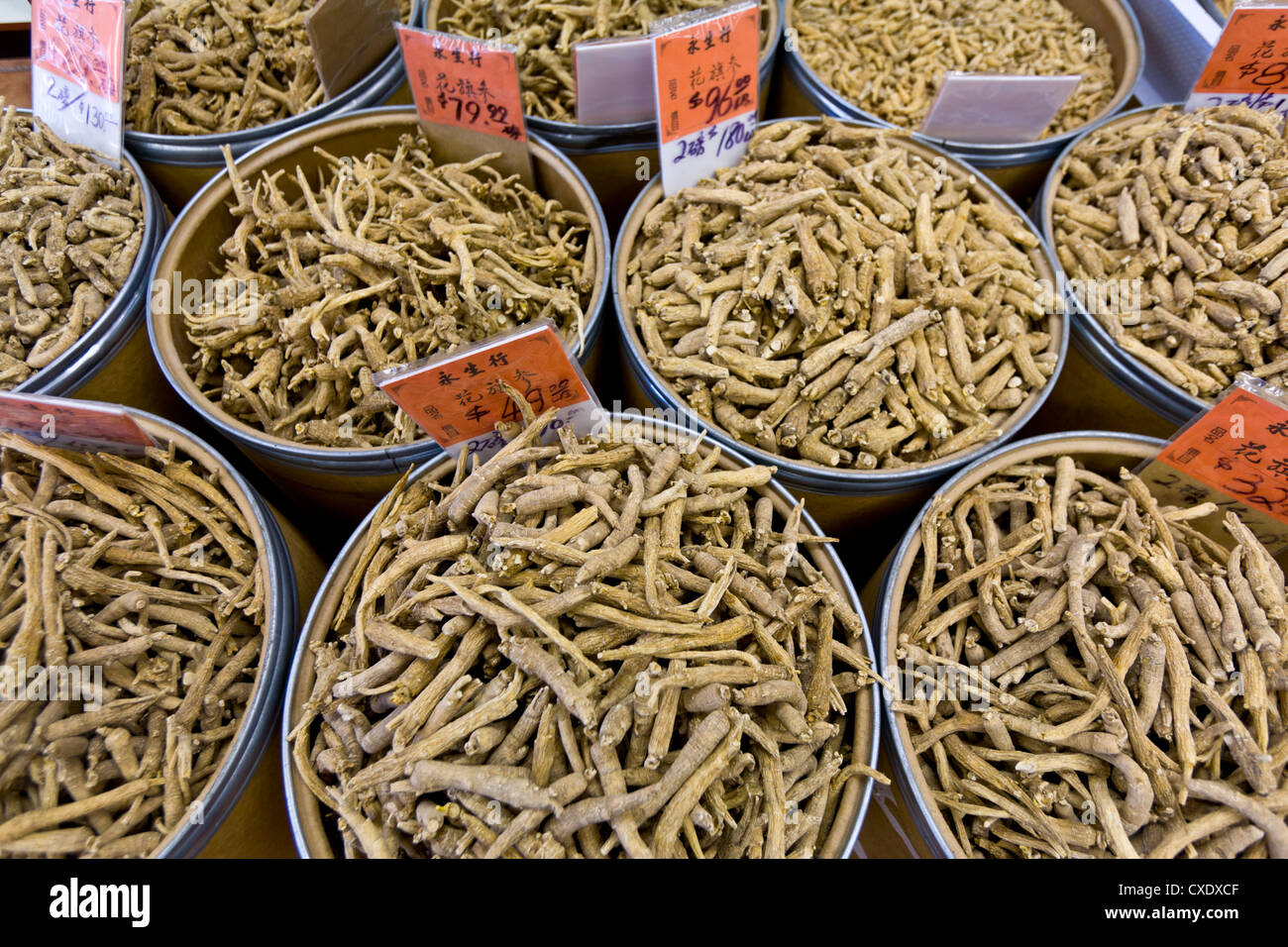 Ginseng for sale, Chinatown, Toronto, Ontario, Canada, North America
