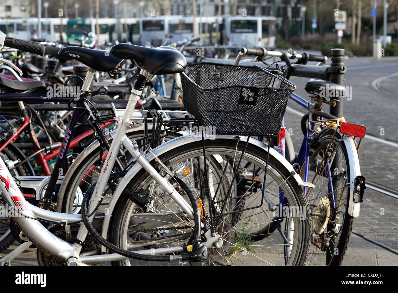 Car carrying bicycles bikes hires stock photography and images Alamy