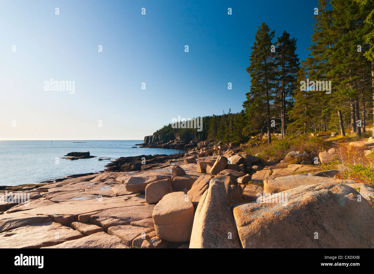 Acadia National Park, Mount Desert Island, Maine, New England, United