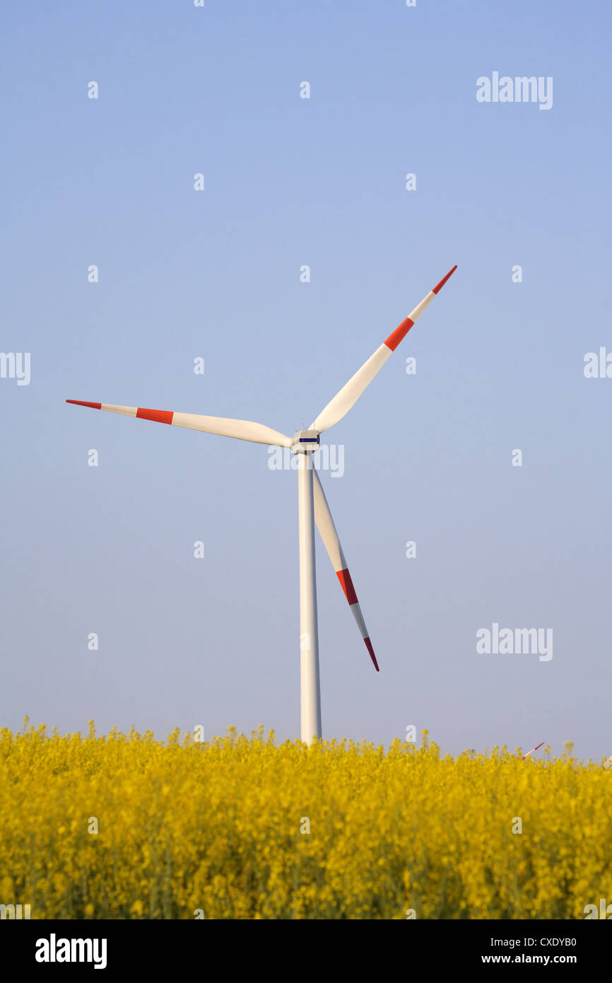 Hasenholz, wind turbine and rapeseed field Stock Photo Alamy