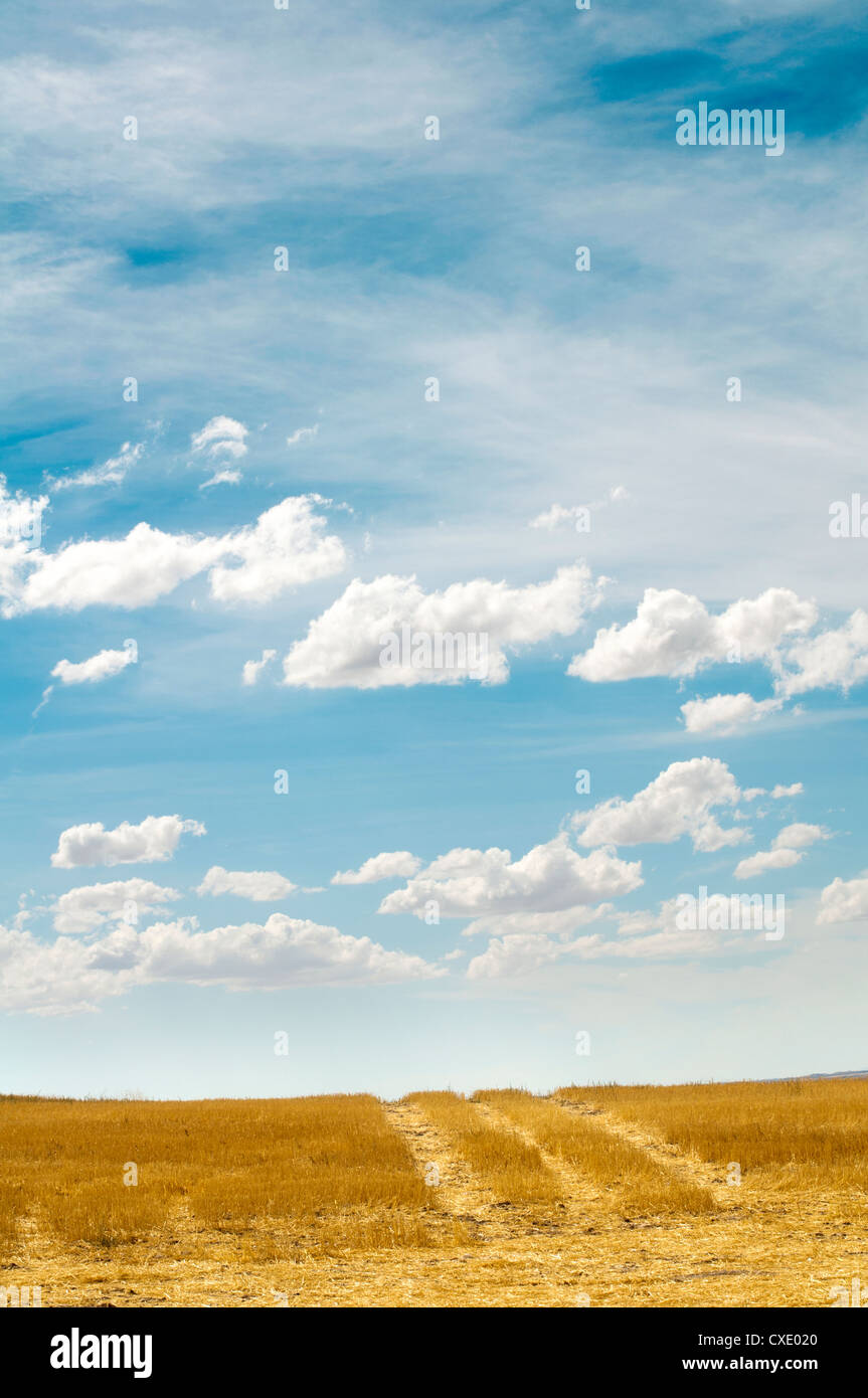 Rural road and blue cloudy sky Stock Photo - Alamy