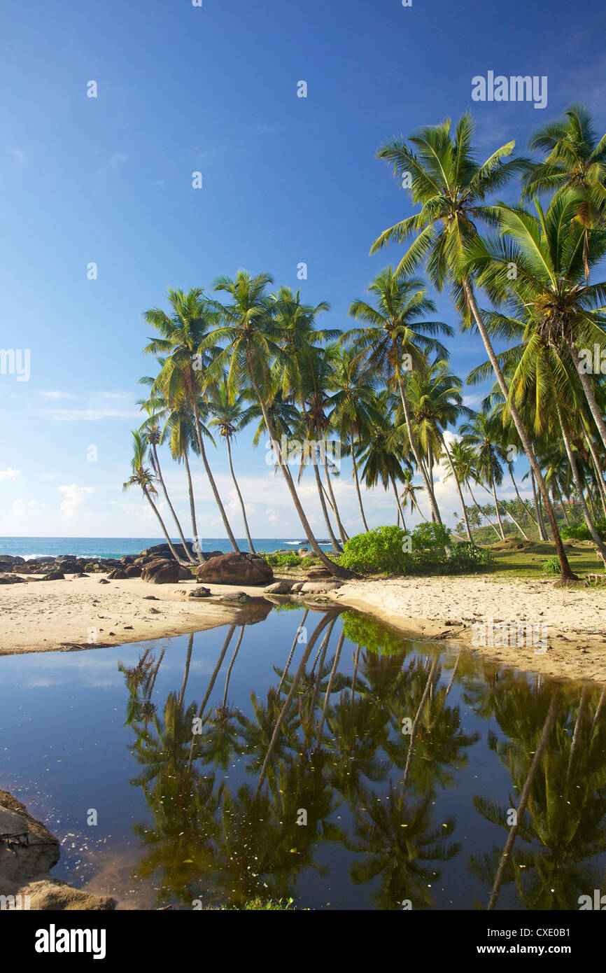 View of the unspoilt beach at Palm Paradise Cabanas, Tangalle, South coast, Sri Lanka, Asia Stock Photo