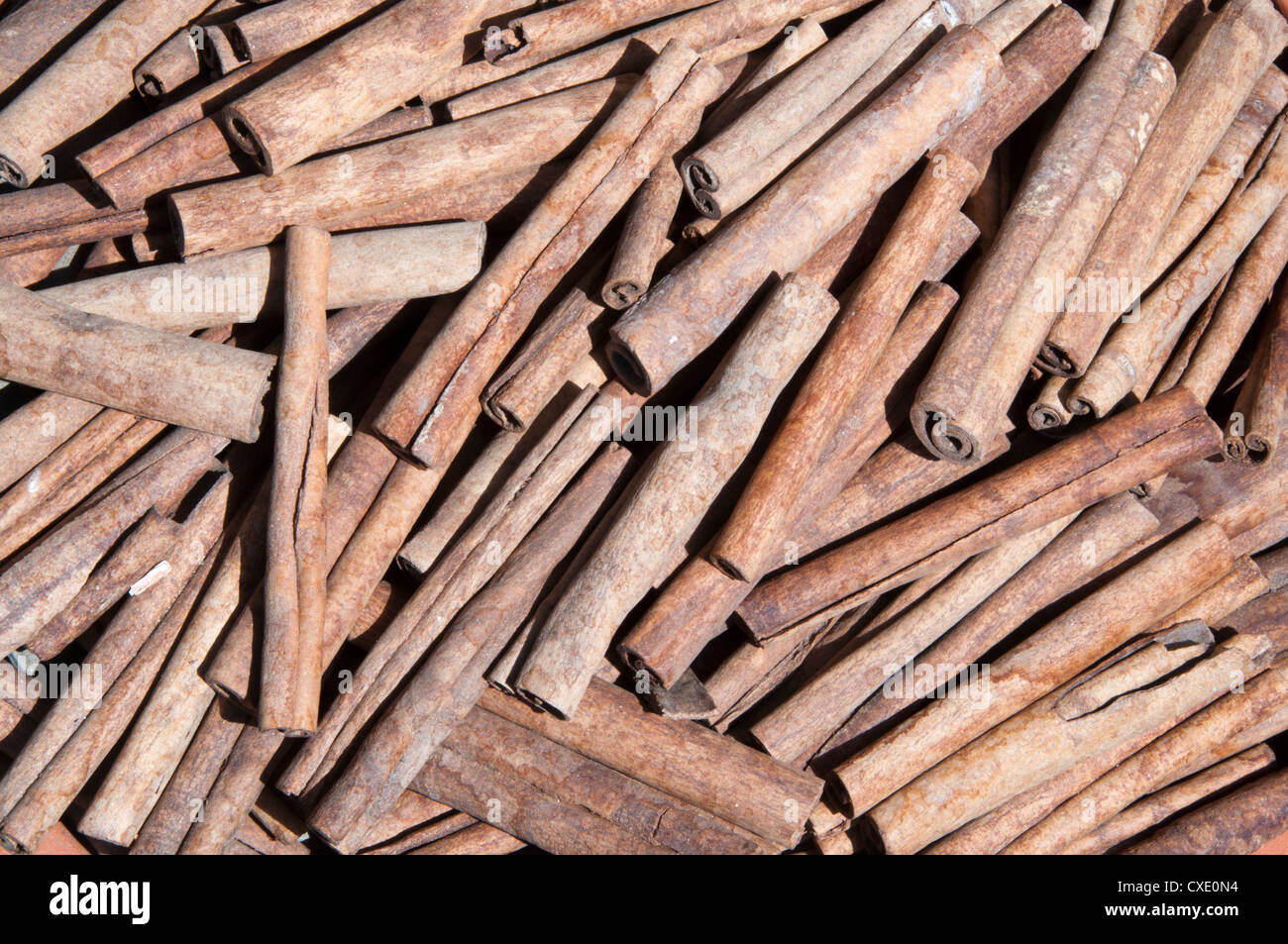 Cinnamon sticks Stock Photo