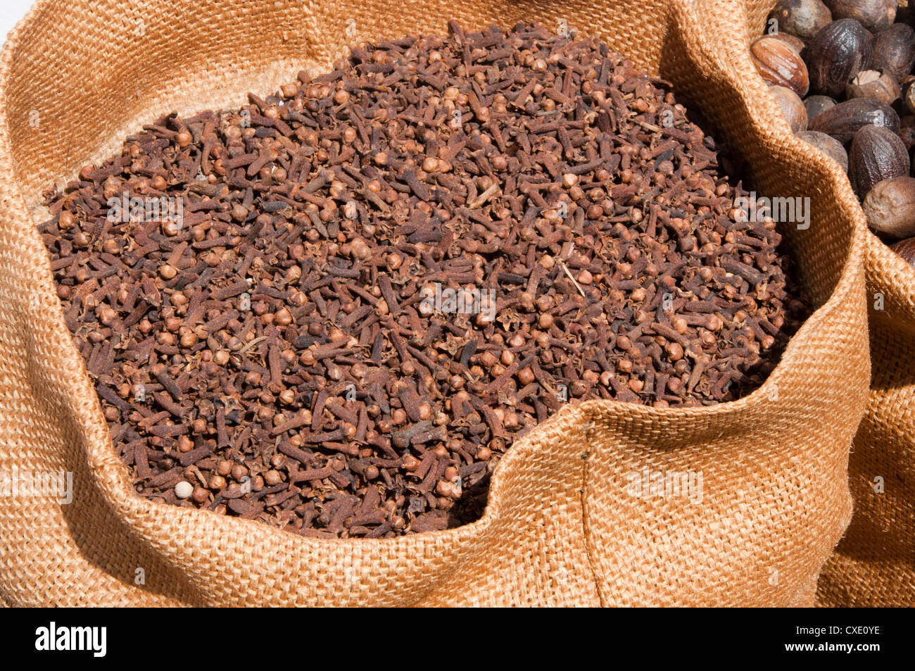 Dried Cloves display in a market in Cochin, India Stock Photo Alamy