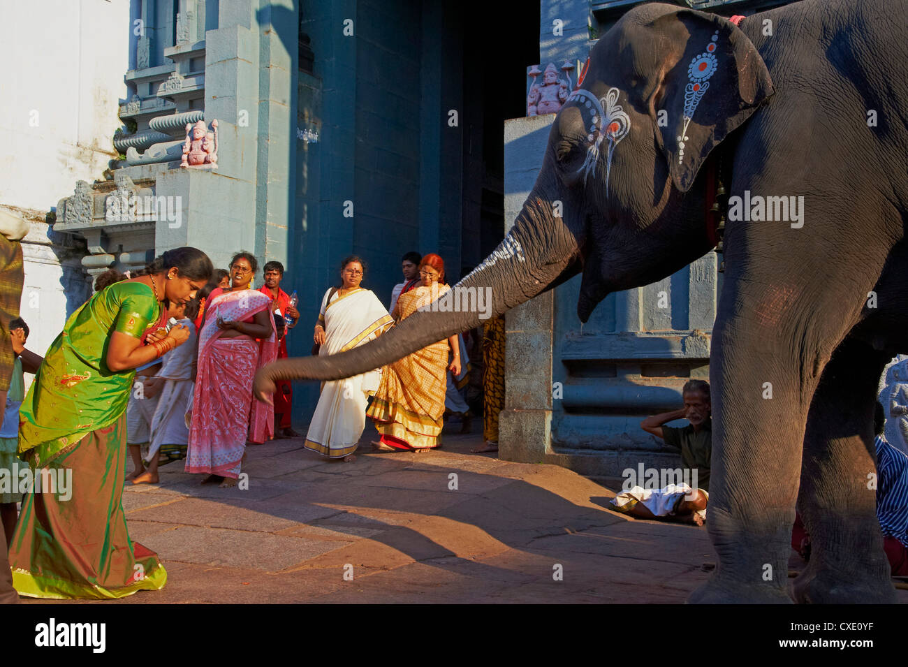 Elephant benediction, Kamakshi Amman, Kanchipuram, Tamil Nadu, India, Asia Stock Photo
