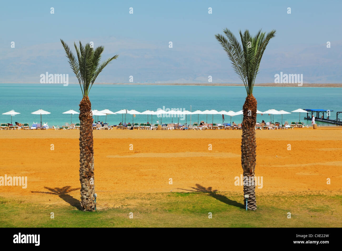 Medical beach luxury hotel at the Dead Sea Stock Photo Alamy
