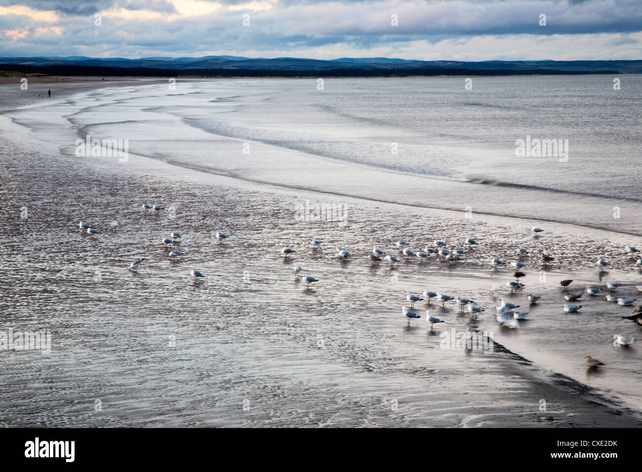 West Sands At Dusk St Andrews Fife Scotland Stock Photo Alamy