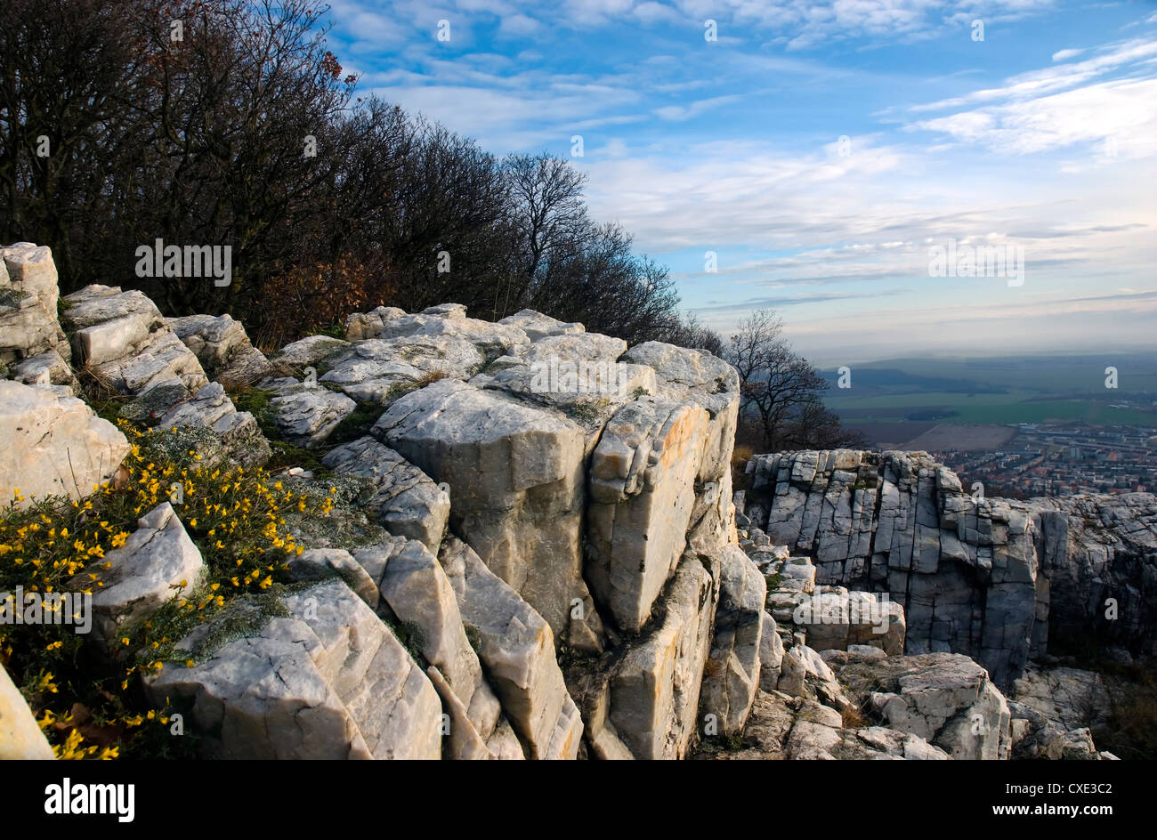 Rocks in the woods, flowers in fall Stock Photo - Alamy