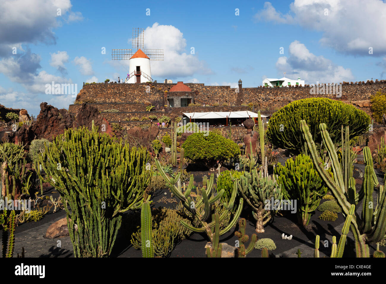 Jardin de Cactus (Cactus Garden), Guatiza, Lanzarote, Canary Islands, Spain Stock Photo