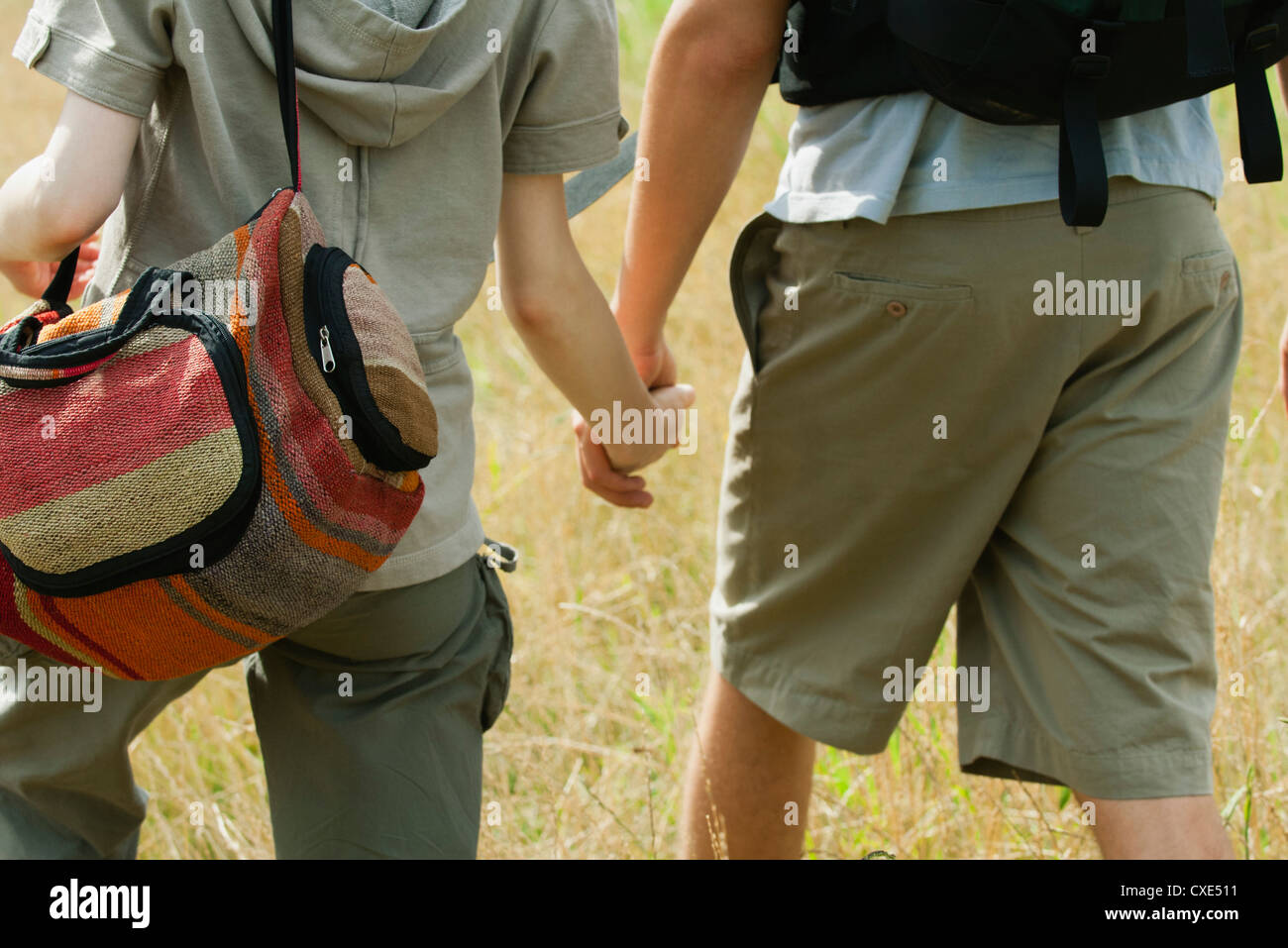 Couple walking in field holding hands, rear view Stock Photo - Alamy