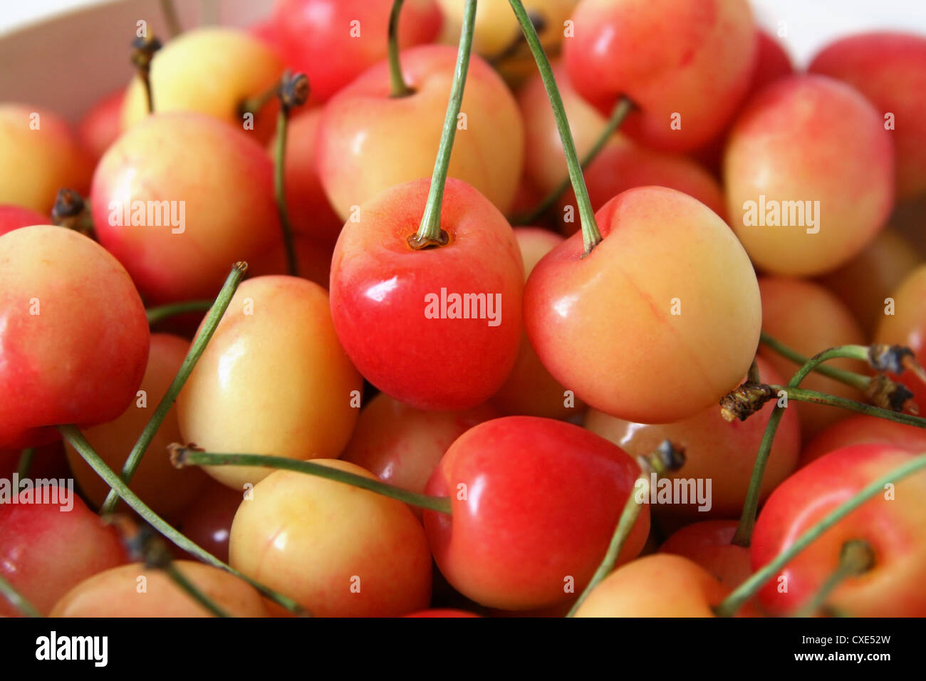 red and yellow rainier cherries Stock Photo