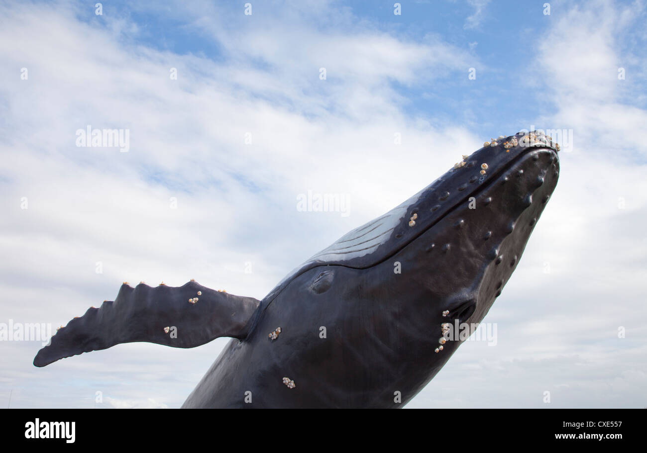 Humpback whale with blue sky Stock Photo