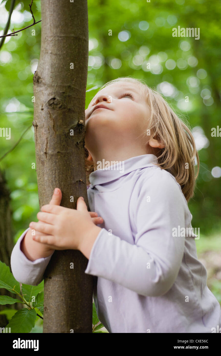 Toddler girl embracing tree trunk, looking up Stock Photo - Alamy