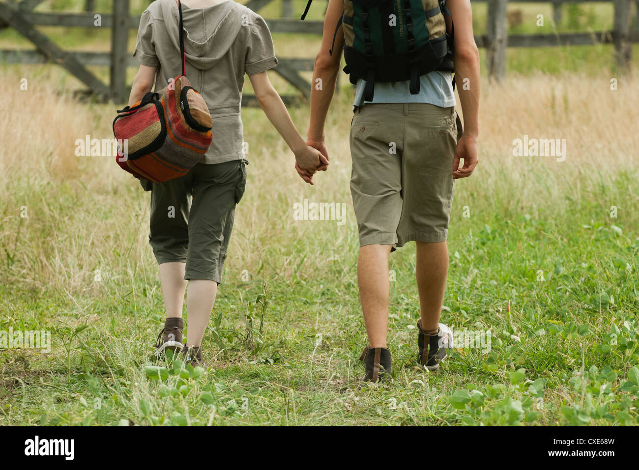 Couple walking in field holding hands, rear view Stock Photo - Alamy