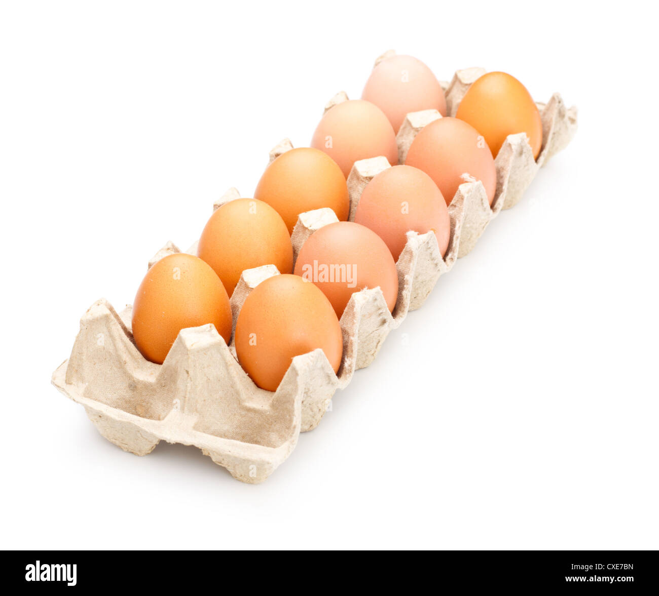 Eggs In Tray Stock Photo Alamy