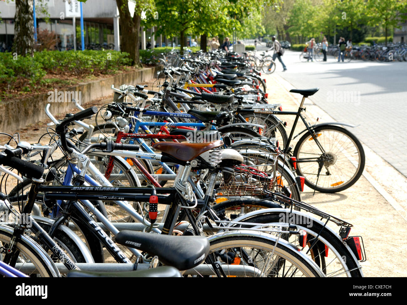 Brunswick, Parked bicycles on the campus of the Technical University Carolo-Wilhelmina in Braunschweig Stock Photo