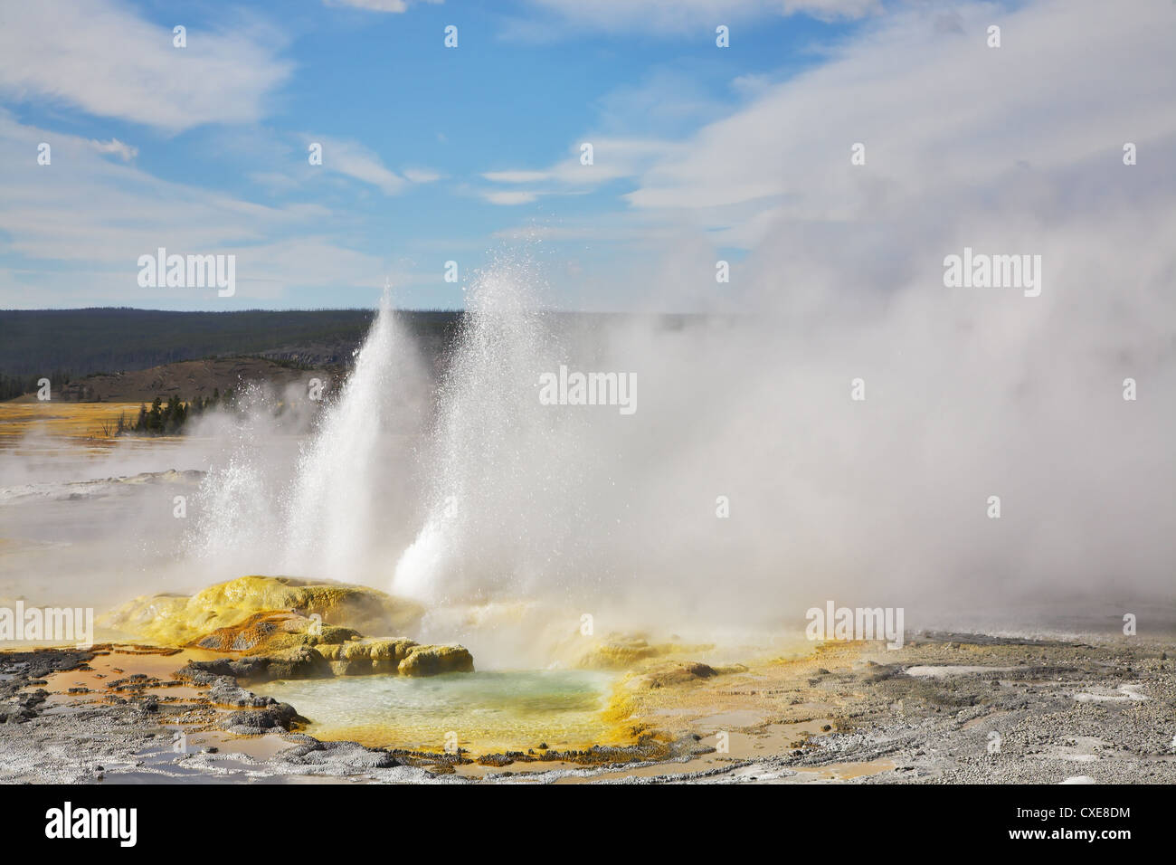 Well-known geysers Stock Photo