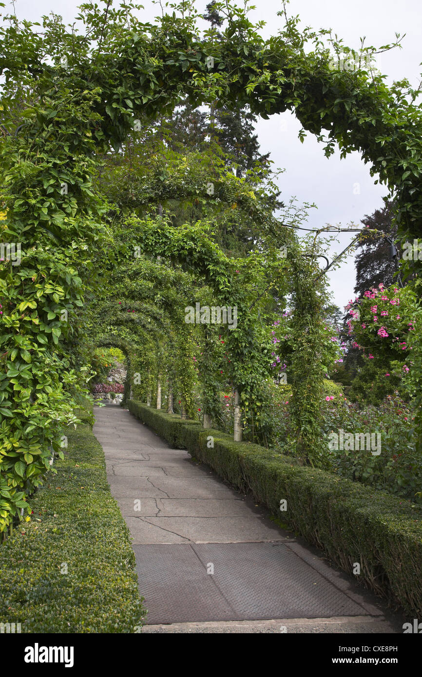 Formal avenue hi-res stock photography and images - Alamy