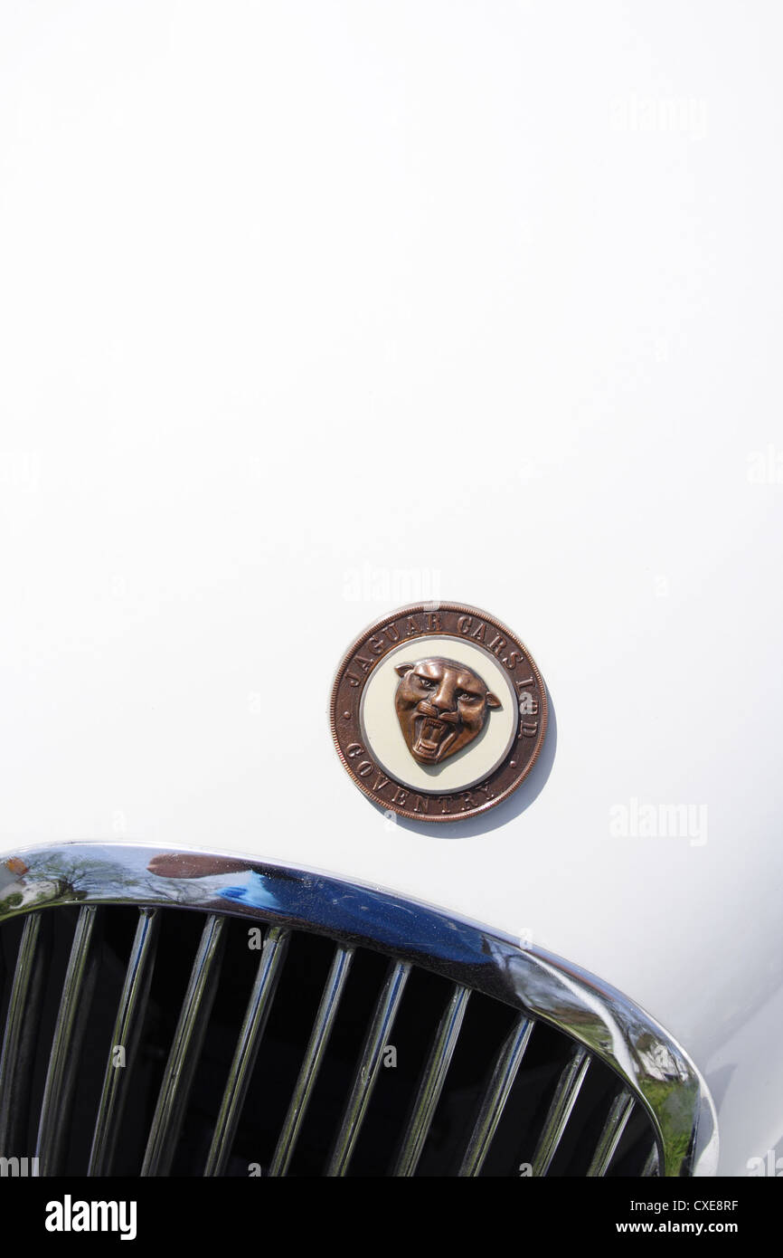 Ruesselsheim, emblem and hood of a vintage Jaguar Stock Photo