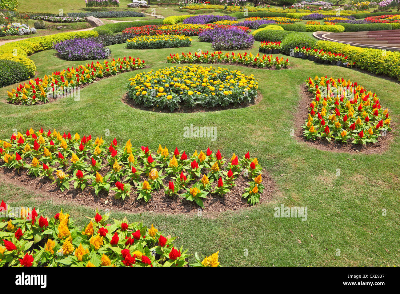 The artly decorated flower beds Stock Photo