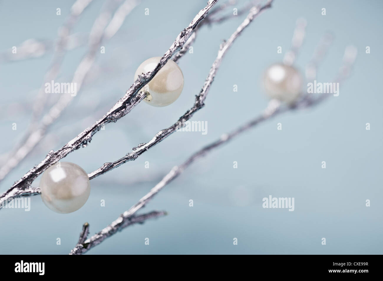 Silver branches with pearl decorations Stock Photo