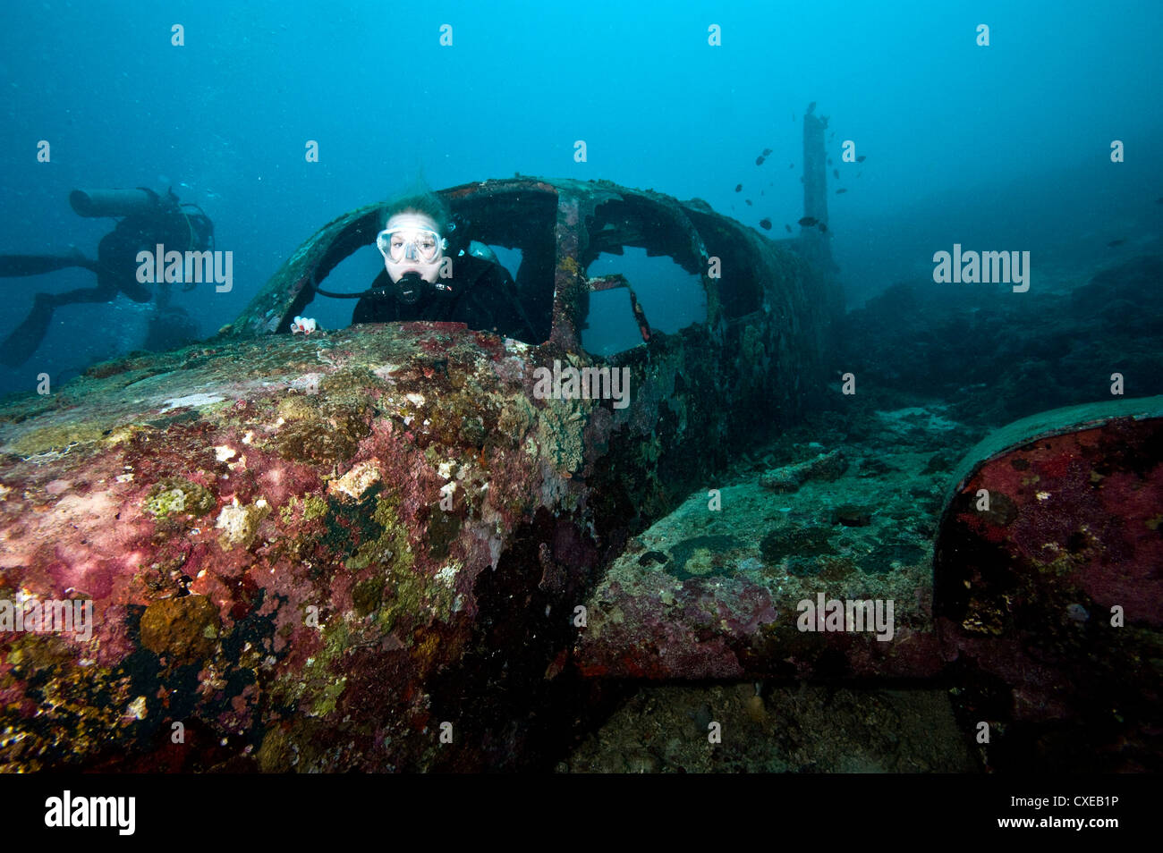Diver inside the wreck of a four seater airplane, Philippines, Southeast Asia, Asia Stock Photo