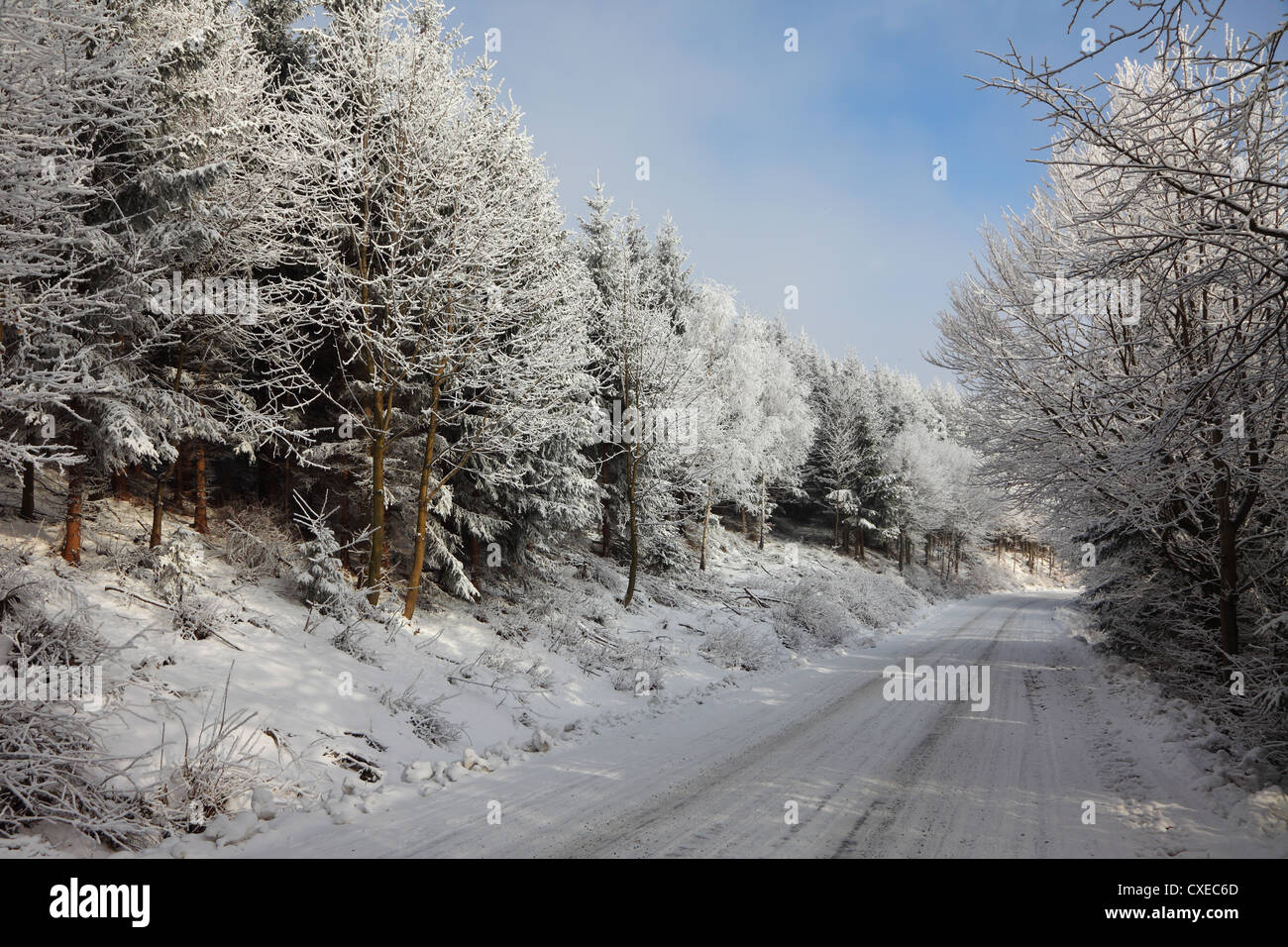 The trees and snow Stock Photo - Alamy