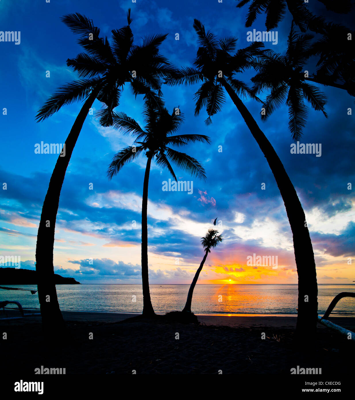 Silhouette of palm trees at sunset, Nippah Beach, Lombok, Indonesia, Southeast Asia, Asia Stock Photo