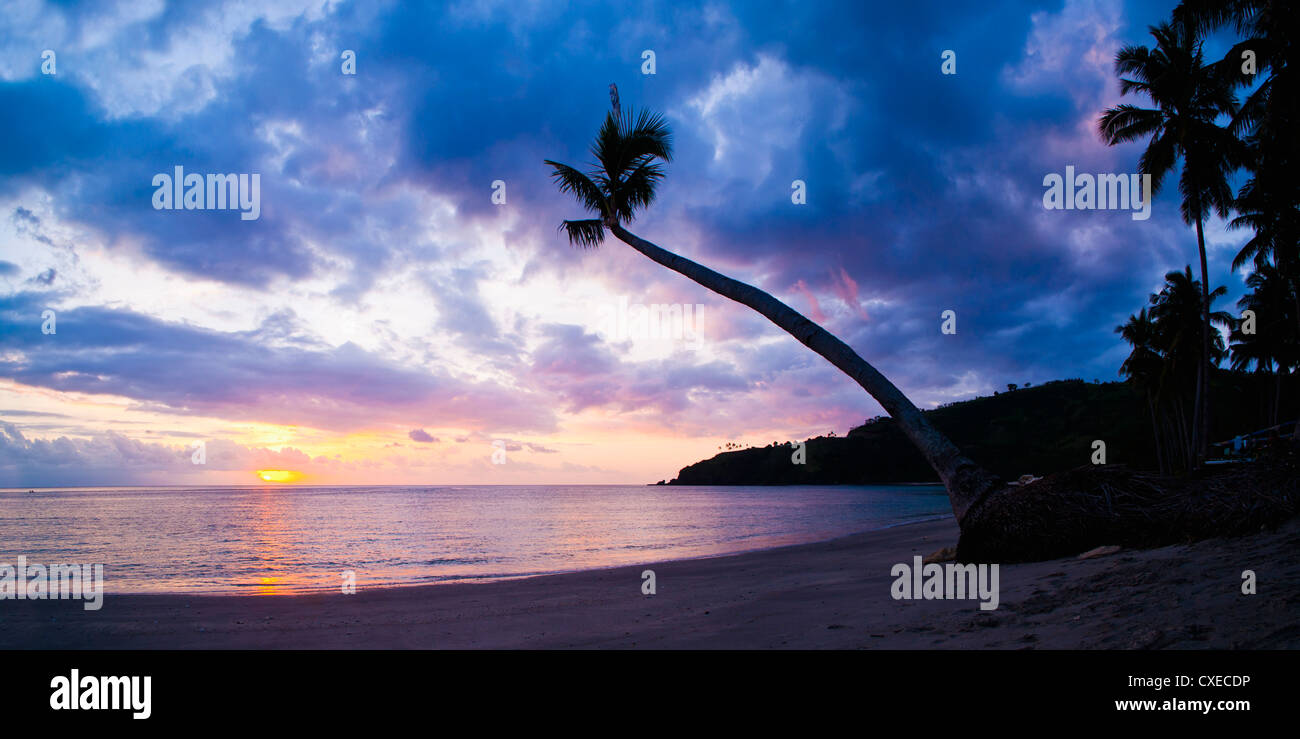 Palm tree silhouette at sunset on the tropical island paradise of Lombok, Indonesia, Southeast Asia, Asia Stock Photo