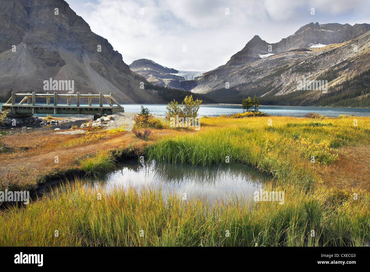 The wooden bridge through a stream Stock Photo - Alamy