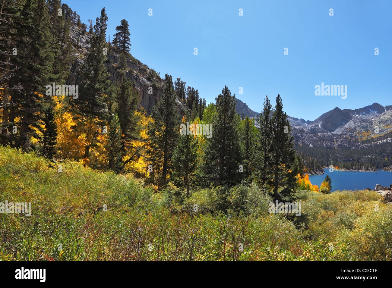 A mountain lake and yellow and green trees Stock Photo