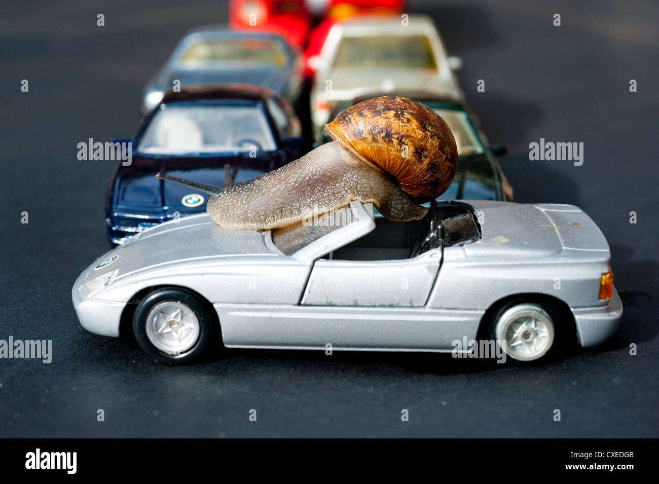 Travelling at a snails pace Stock Photo