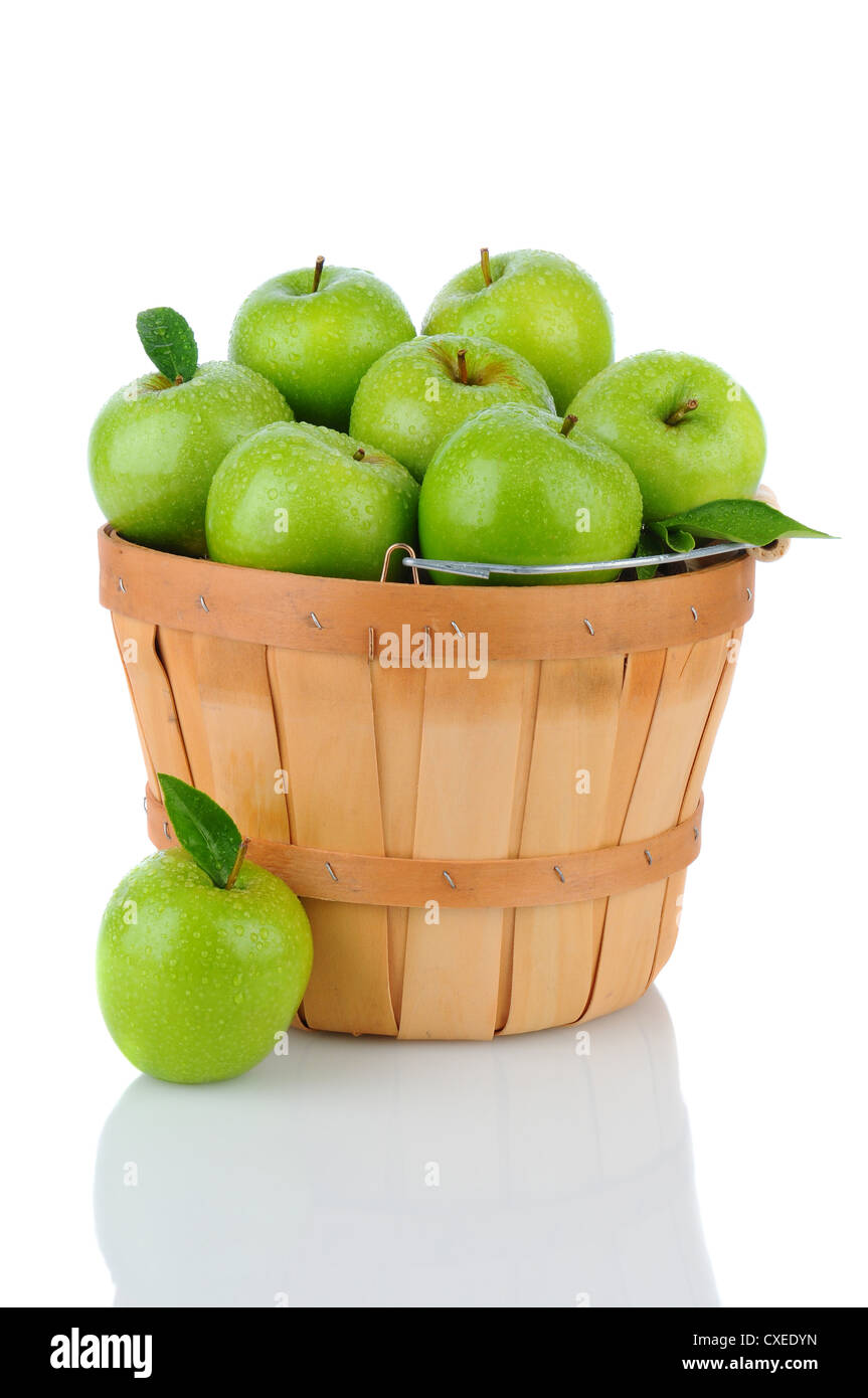 A basket full of fresh picked Granny Smith. Vertical format over a white background with reflection. Stock Photo