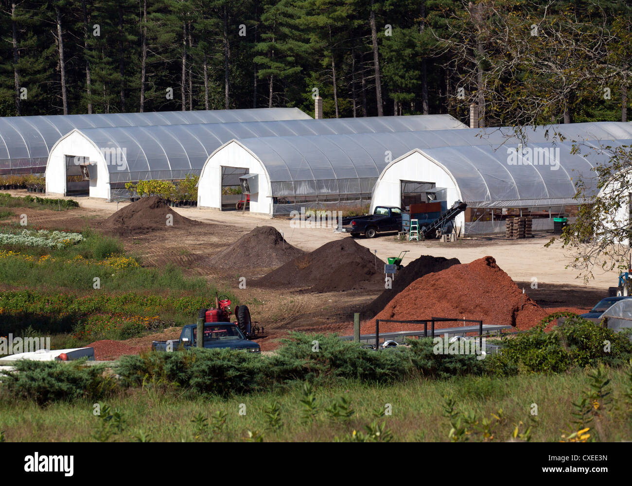 Commercial greenhouses hi-res stock photography and images - Alamy