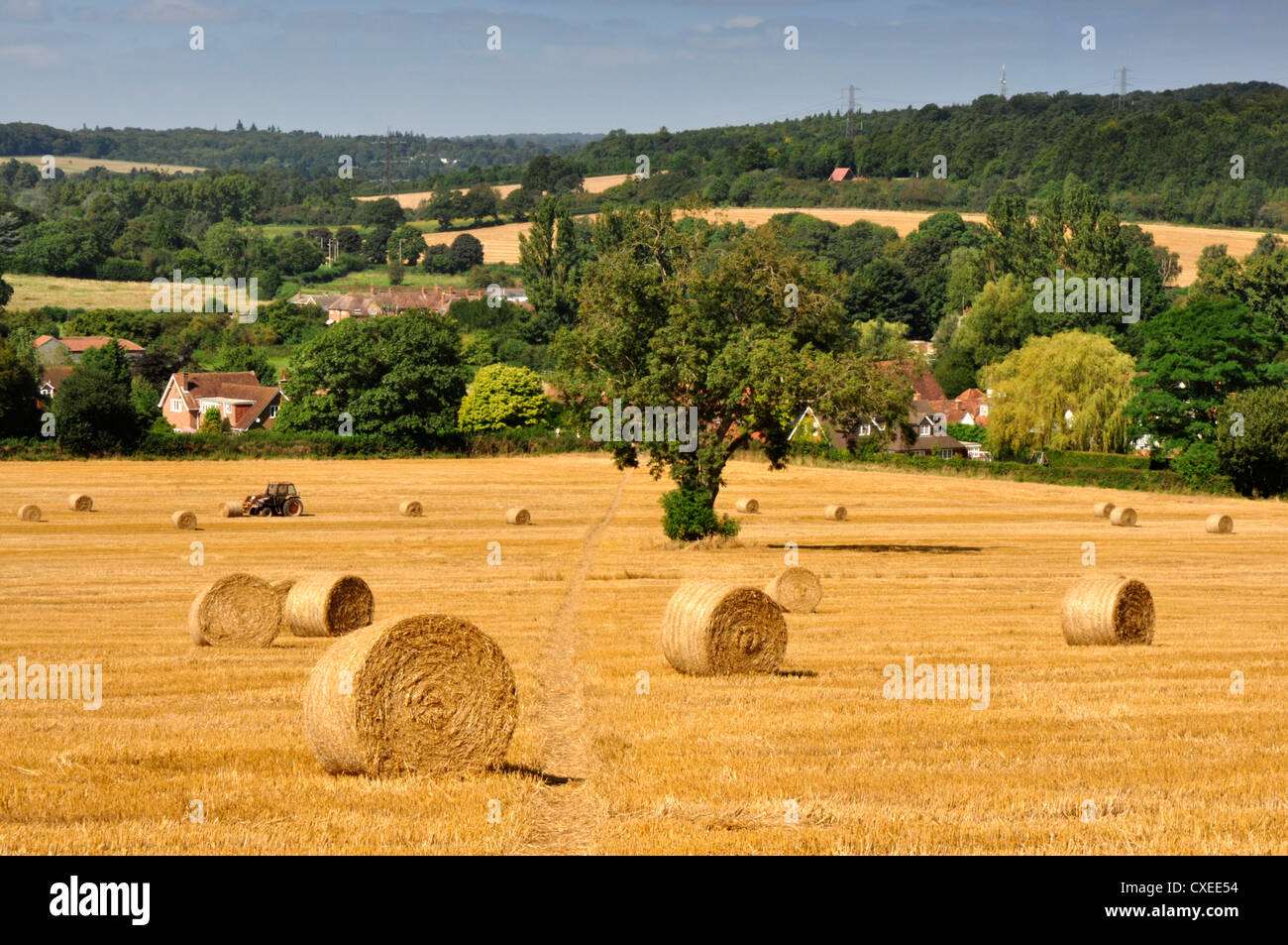 Chiltern Hills Buckinghamshire harvested field golden stubble and