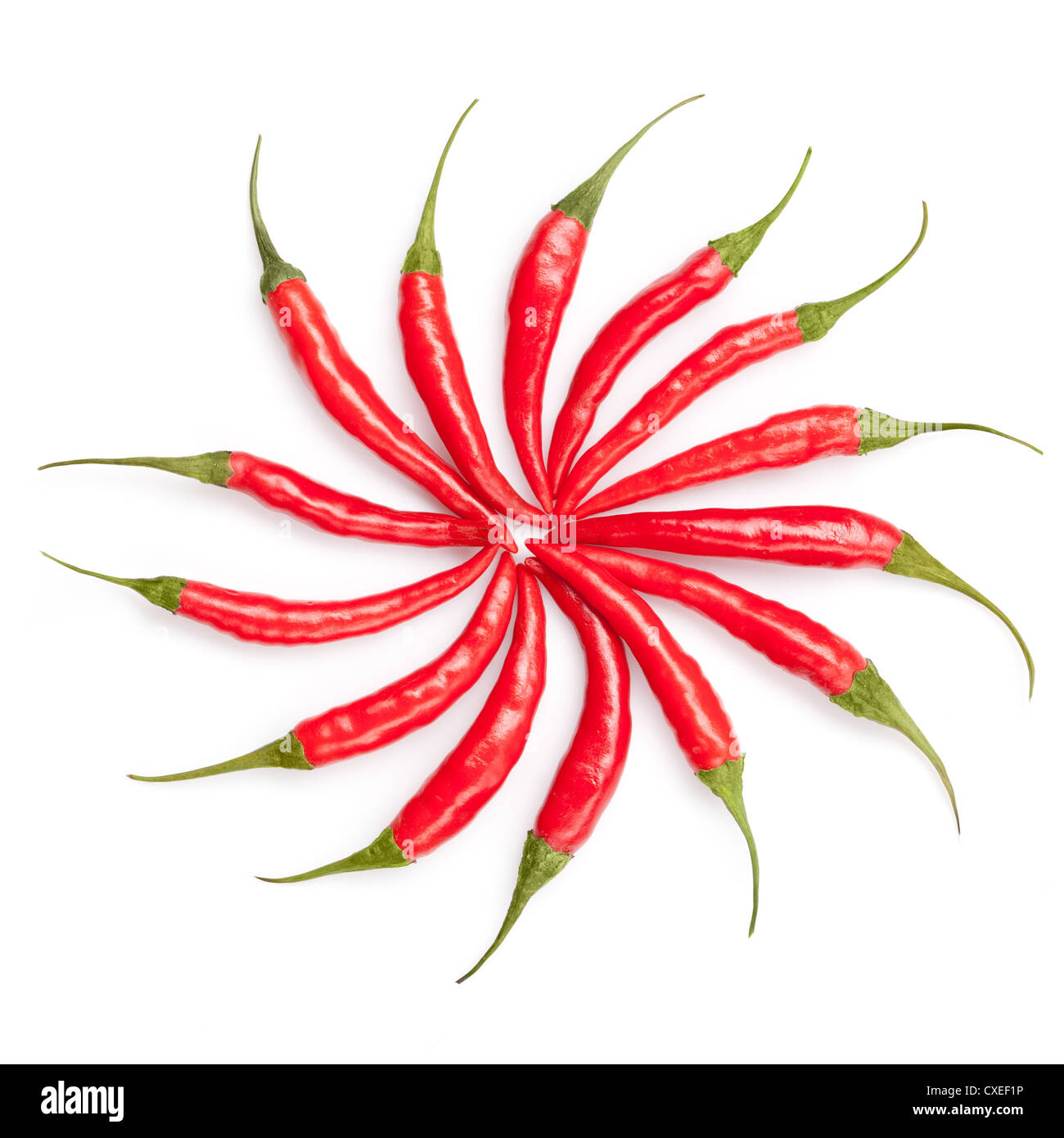 sun from chili peppers isolated on white Stock Photo