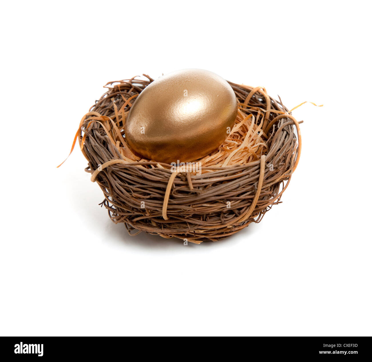 Golden Egg Nest Stock Illustrations, Cliparts and Royalty Free Golden Egg  Nest Vectors