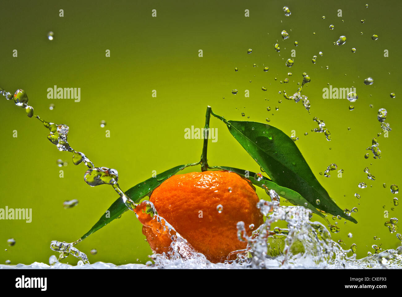 Tangerine with green leaves and water splash on green background Stock Photo Alamy