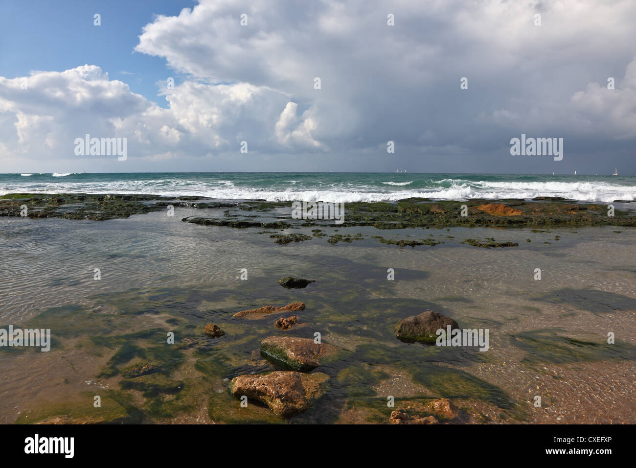 Stones covered with algae in a tidal wave Stock Photo