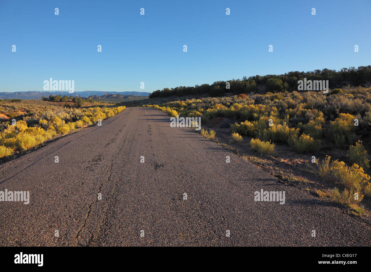 American road hi-res stock photography and images - Alamy