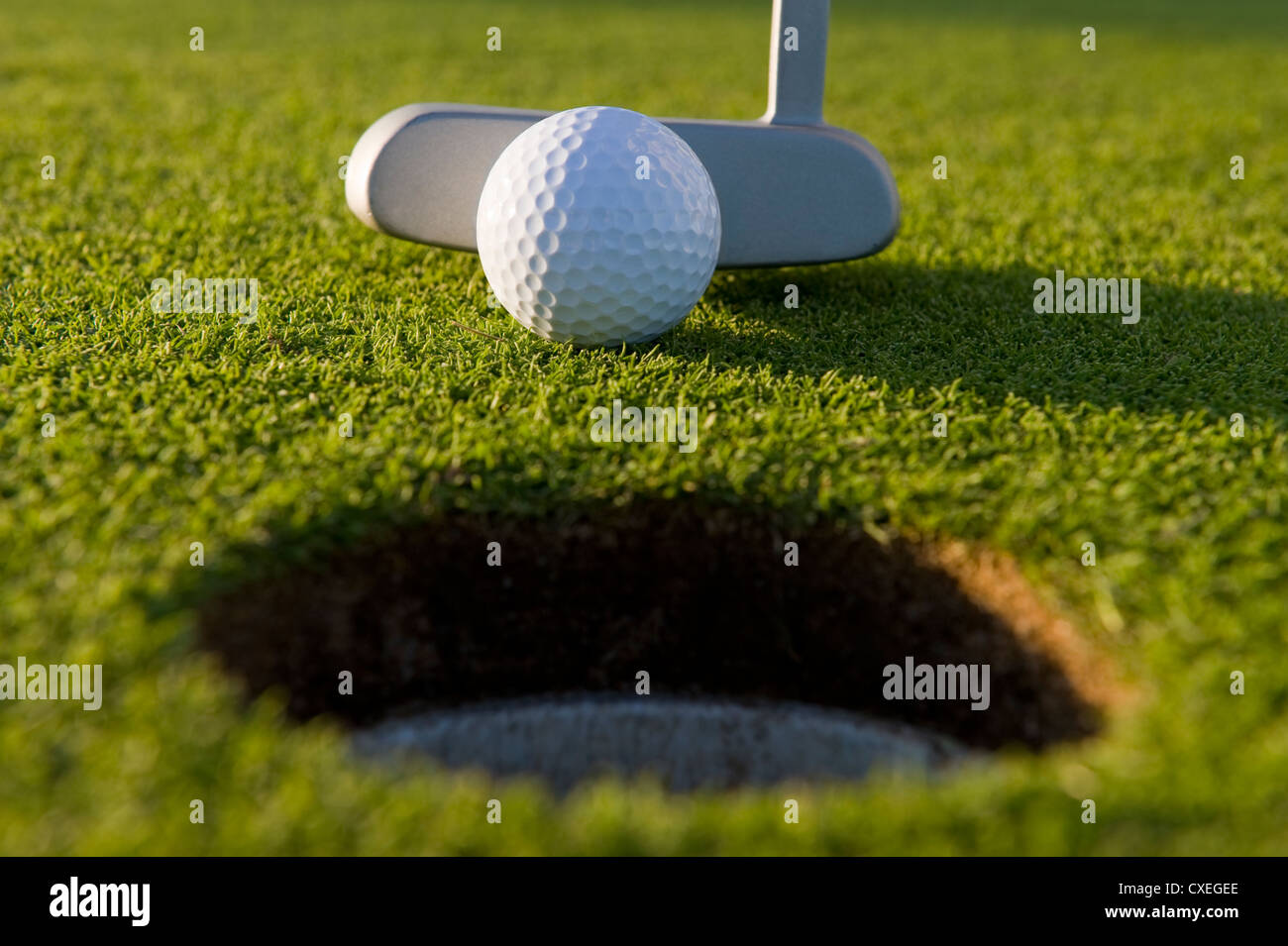 A very short putt in the game of golf on a putting green at a golf course with copy space Stock Photo