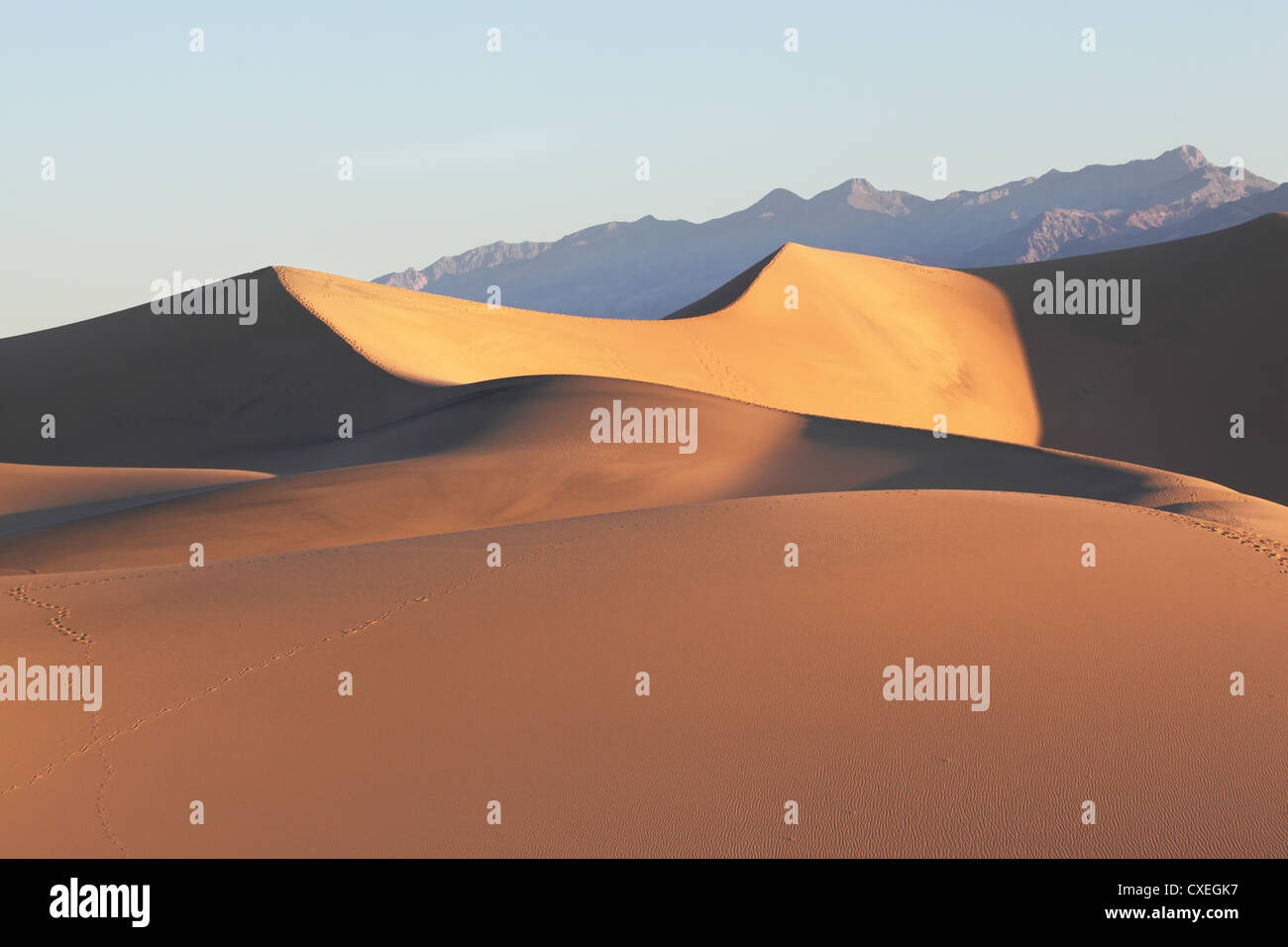 Sand dunes clearly lit by sunrise Stock Photo
