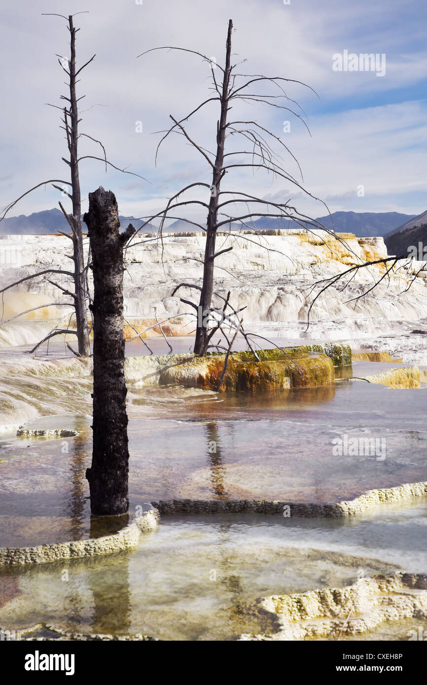 Fog above geothermal sources Stock Photo