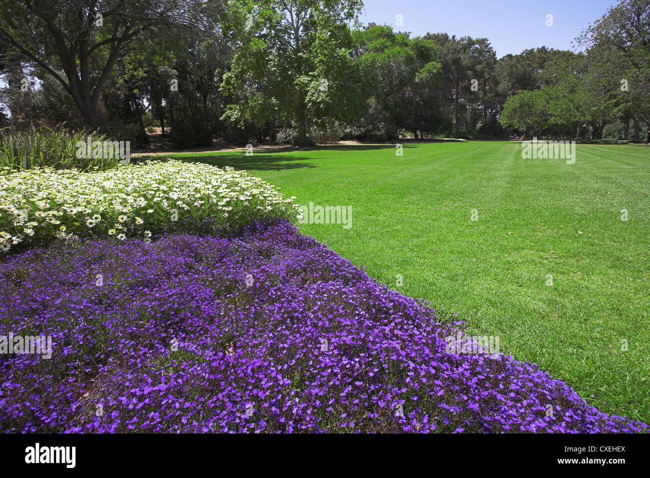 Gardening on fine day hi-res stock photography and images - Alamy