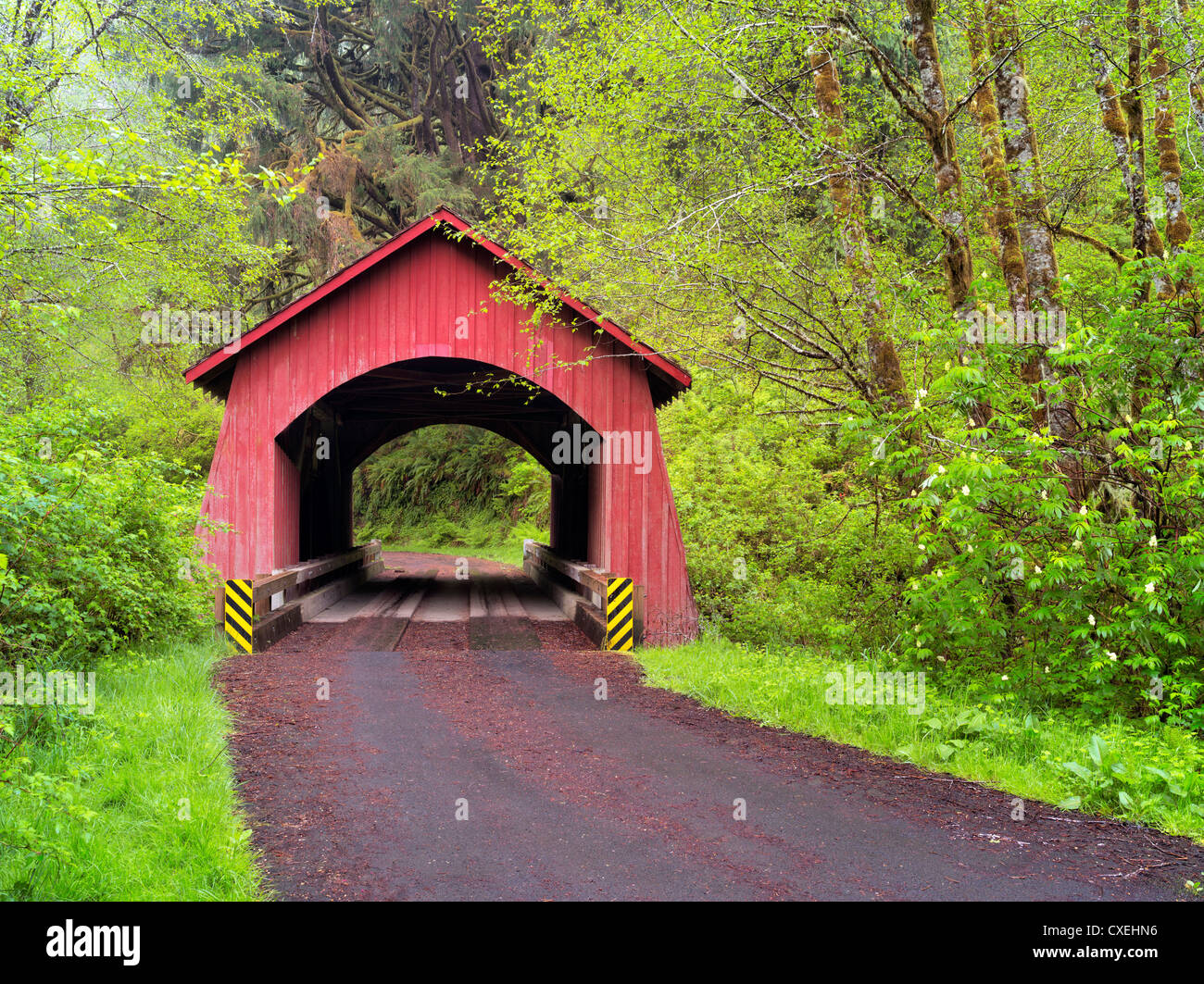North Fork of the Yachats Covered Bridge. Oregon Stock Photo