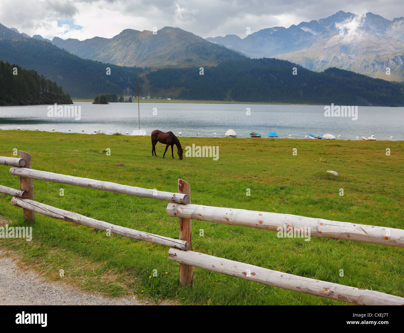 Rural fence along the lake shore Stock Photo - Alamy