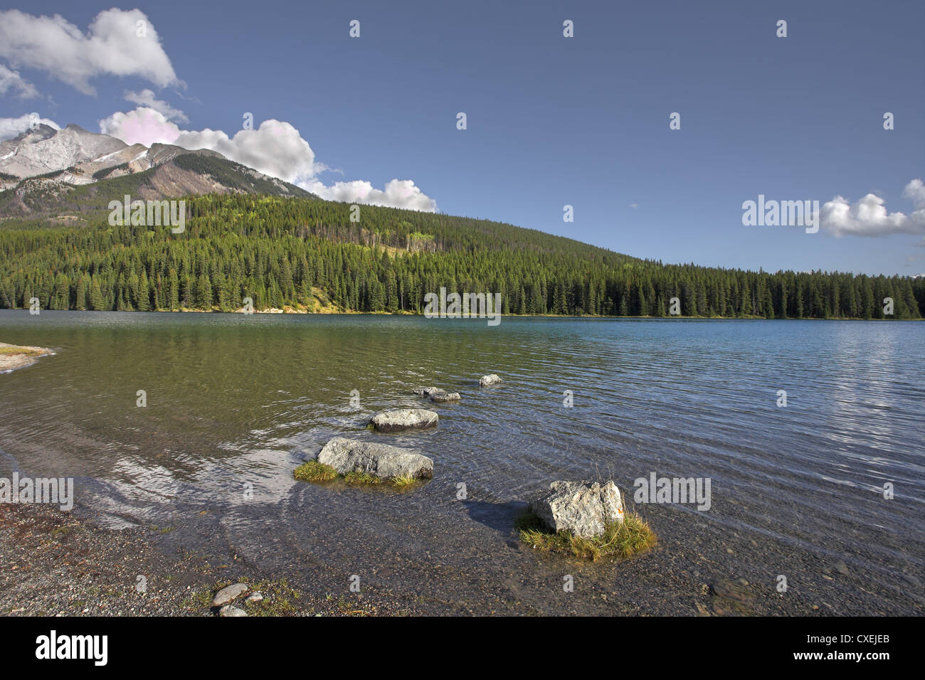 Silent ripples on water Stock Photo - Alamy