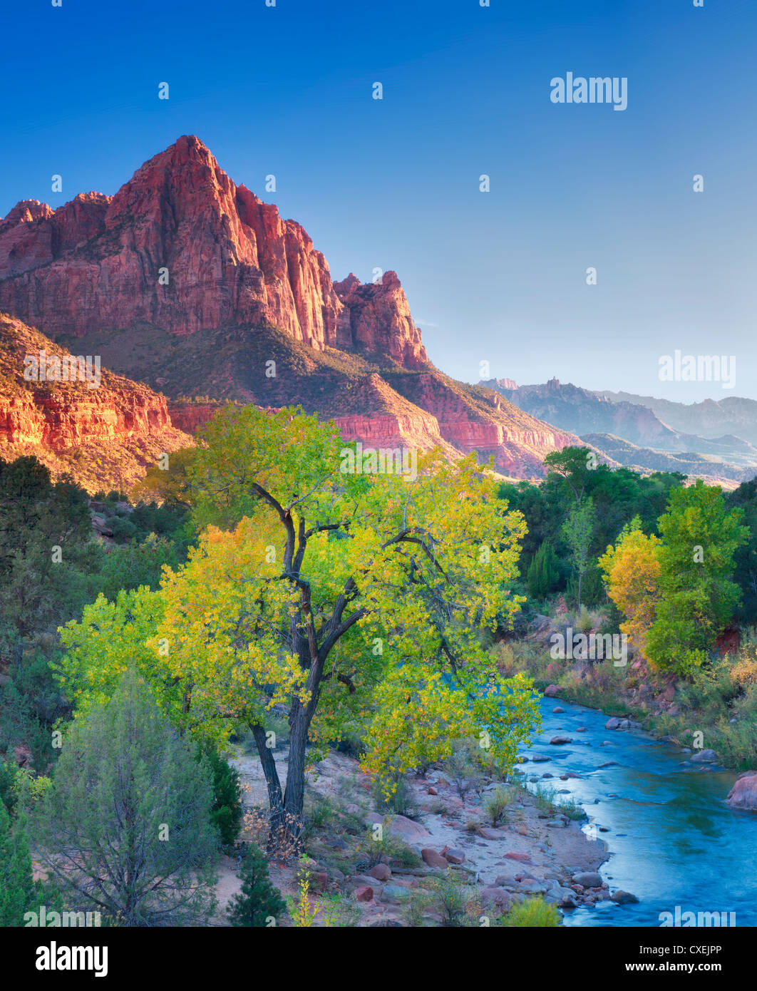 Fall color and Virgin River. Zion National Park, Utah. Sky has been ...